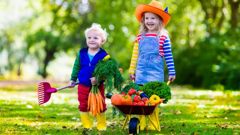 Na zdjęciu widzimy dwoje uśmiechniętych dzieci, chłopca i dziewczynkę. Chłopiec trzyma w ręku pęczek marchwi a dziewczynka trzyma taczkę z różnymi warzywami.